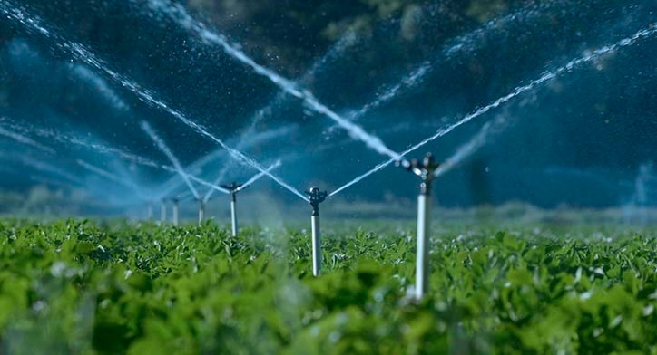 Agriculture farm with sprinklers