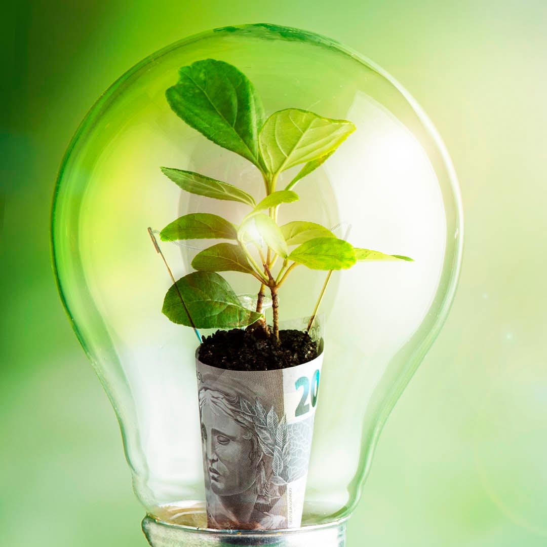 Sustainability
