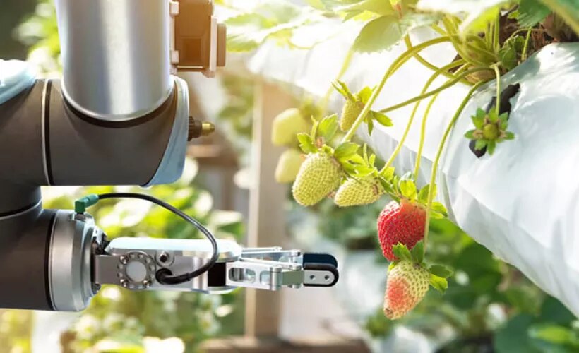 Agricultural robot