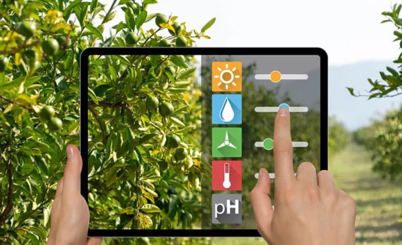 Farmer checking agricultural data in the tablet
